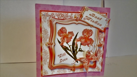 Peach Iris Framed by Diane Carbis