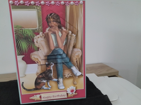 Teenage Girl with Cat Polygon Pyramage by Diane Carbis