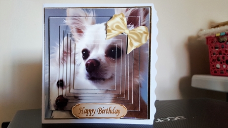 Cute Pair of Cream Chihuahuas Playing 8x8 Pyramid Mini Kit by Diane Carbis