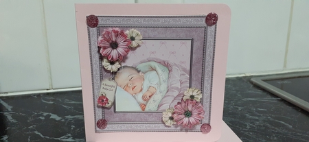 New Born Baby Girl by Diane Carbis