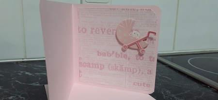New Born Baby Girl by Diane Carbis