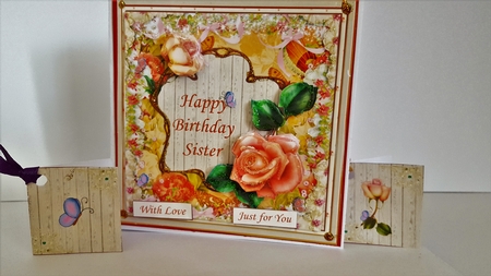 Happy Birthday Sister Mini Kit by Diane Carbis