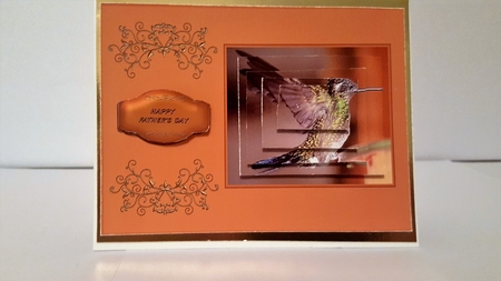 Humming bird A5 step by step card front. by Diane Carbis