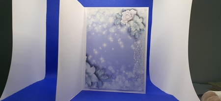 Frozen Land - Insert or background by Diane Carbis