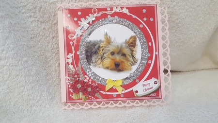 CHRISTMAS YORKIE 3 by Diane Carbis