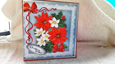 Beautiful Poinsettia and Christmas Roses  by Diane Carbis