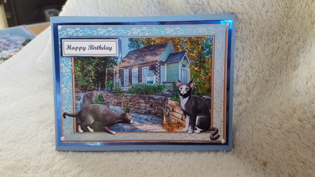 Just Cats quick card by Diane Carbis