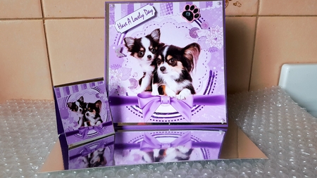 Cute pair of Chihuahua puppies with purple bow 8x8 by Diane Carbis