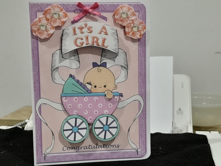 Its A Girl by Diane Carbis