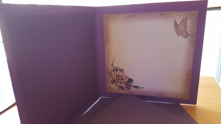 Serene Butterfly 1 Insert by Diane Carbis