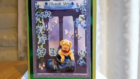 Puppy in Boot with Various greetings by Diane Carbis