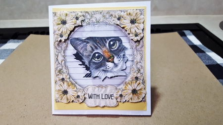 Thomas 5 - 6x6 inch card front with decoupage by Diane Carbis