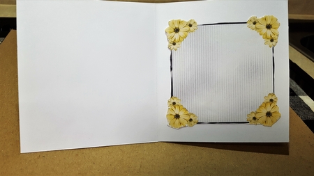  Matching insert for Thomas 5 design sheet. by Diane Carbis