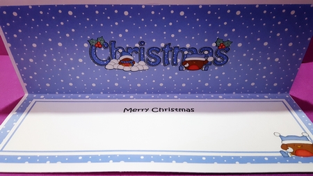 Large DL MERRY CHRISTMAS insert by Diane Carbis