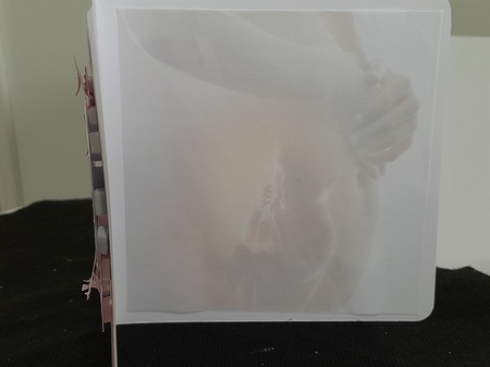 baby shower girl by Diane Carbis