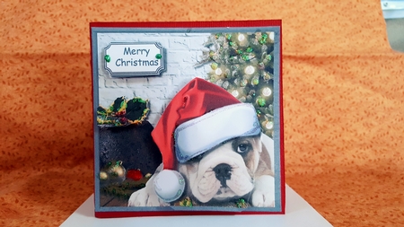 A Puppy Is Not Just For Christmas by Diane Carbis