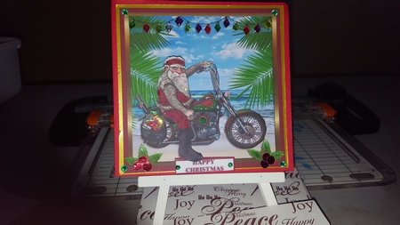 SUNNY SANTA by Diane Carbis