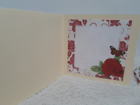 BUTTERFLY BLOSSOMS 4 SHEET MINI KIT RED by Diane Carbis