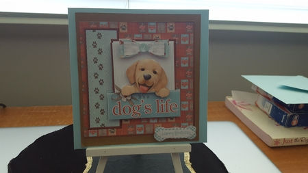 A Dogs life by Diane Carbis