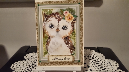 Baby Owl , With Verse  by Diane Carbis