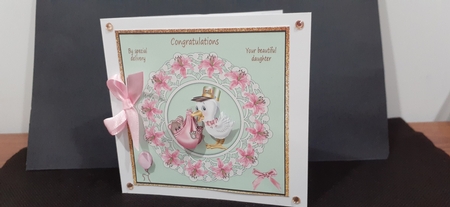 New Baby Girl by Diane Carbis
