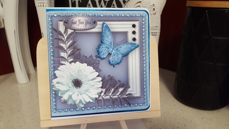Daisy and Butterfly 2 by Diane Carbis