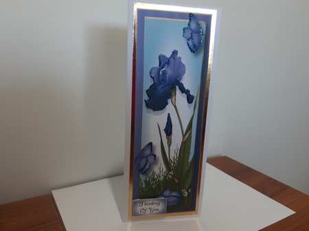 Lge DL Bearded Iris & Butterflies - Cornflower Blue by Diane Carbis