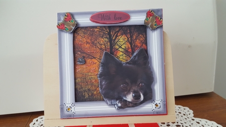 pup by Diane Carbis
