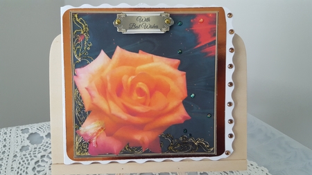 Rose in Dreams by Diane Carbis