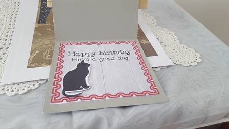 Happy cats by Diane Carbis