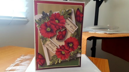 The Angled Frame - Pink Crysanthemums by Diane Carbis