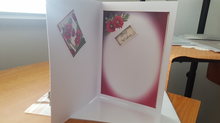 The Angled Frame - Pink Crysanthemums by Diane Carbis