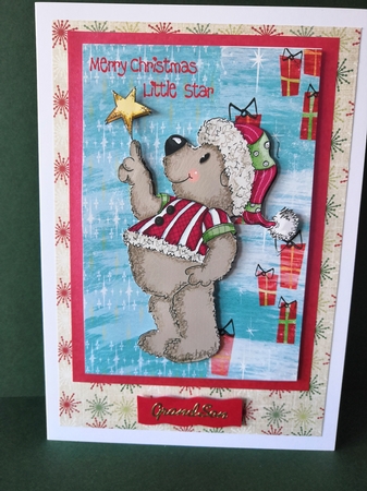 Christmas Decoration by Diane Dawson