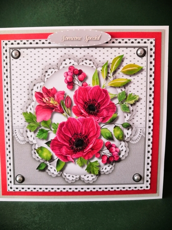 Gorgeous Red Anemomies by Diane Dawson