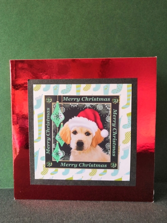 3 Cute Christmas pup with hat card fronts/toppers by Diane Dawson