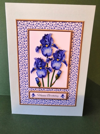 Lovely Watercolor Irises Birthday (Card Two) by Diane Dawson