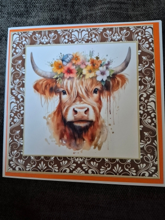 Brown framed Highland cow card front 5 by Diane Dawson