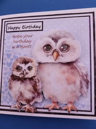 Hoot  by Diane Dawson