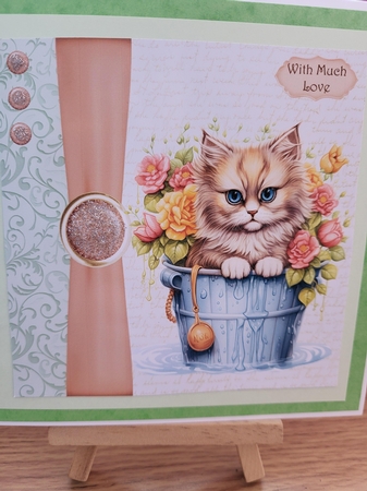 Kitten in a bucket by Diane Dawson