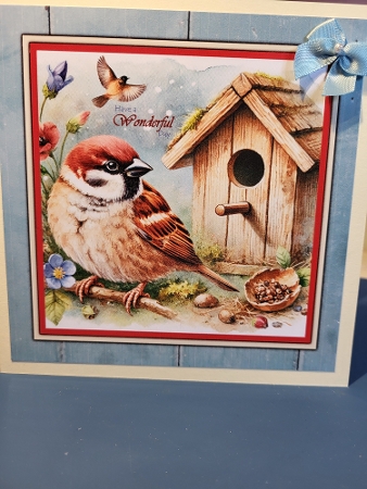 home for spring by Diane Dawson