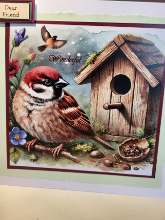 home for spring by Diane Dawson