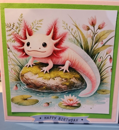 Axolotl by Diane Dawson