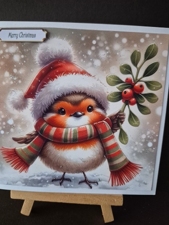 6x6 Christmas Robins 1 - Illustrations for Cardmakers and Designers  by Diane Dawson