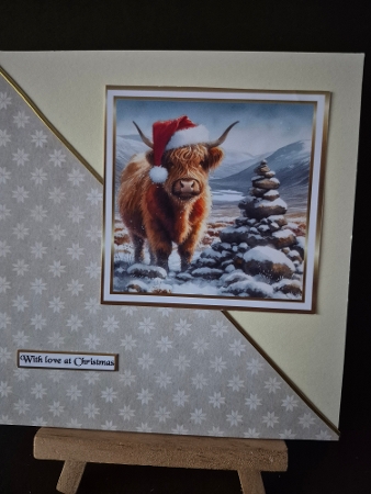 another coo by Diane Dawson