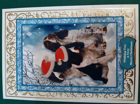 Pawsome Christmas Wishes by Diane Gray