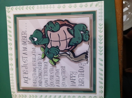 Giant Tortoise Mini Kit by Diane Gray