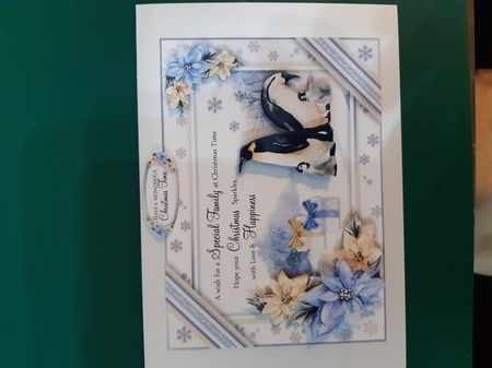 For a Special Family at Christmas by Diane Gray