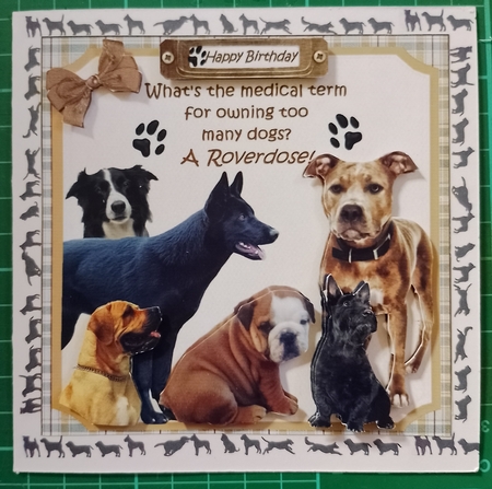 7x7 Too many dogs by Diane Gray