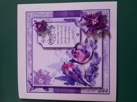 Pair of Robins Mini Kit by Diane Gray