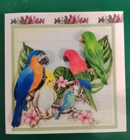 TROPICAL BIRDS by Diane Gray